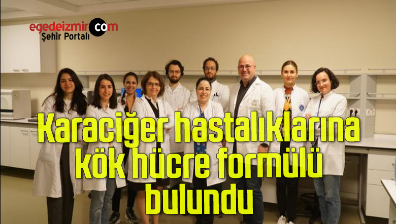kök