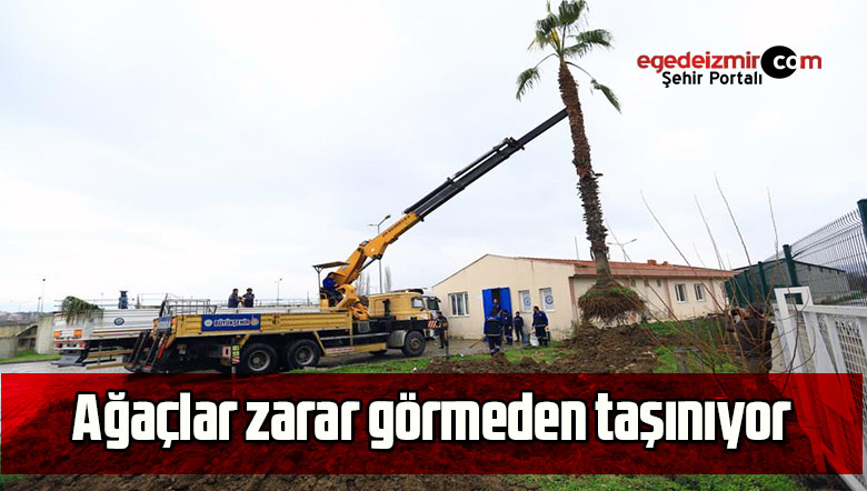 ağaç