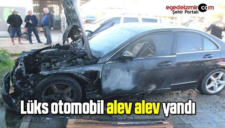 alev