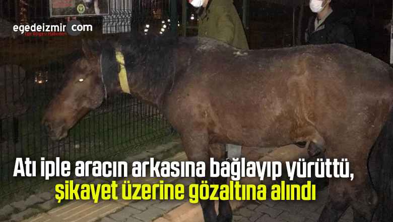 aracın arkasına