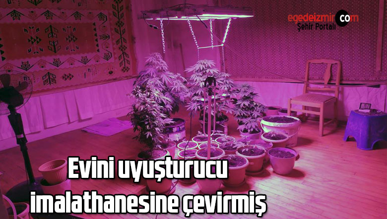 evini