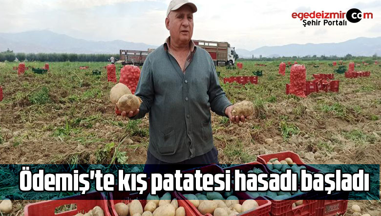 kış