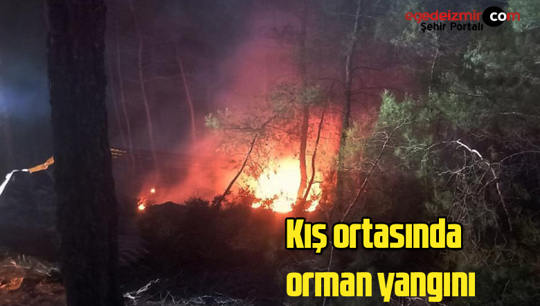 orman