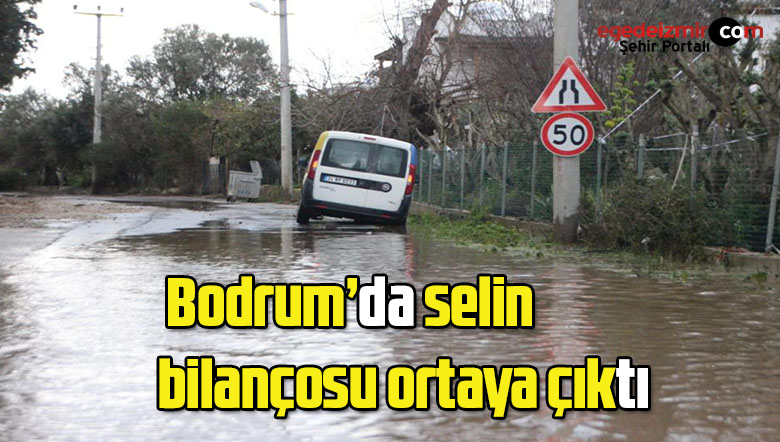 selin