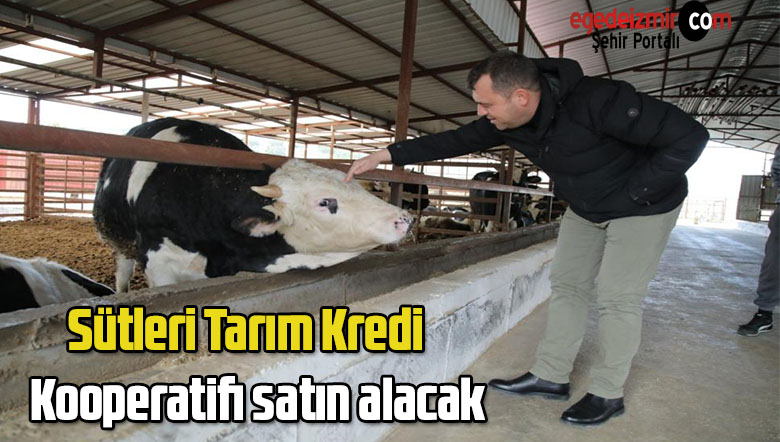 süt