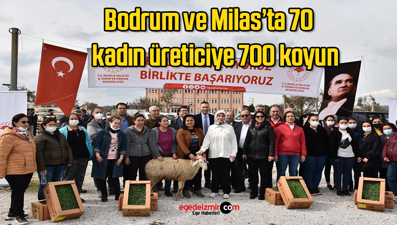 70