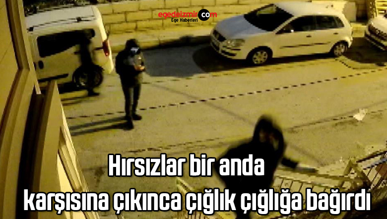 bir