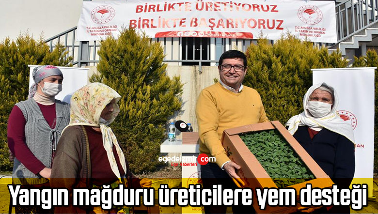 yangın