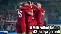 A Milli Futbol Takımı 43. sıraya geriledi