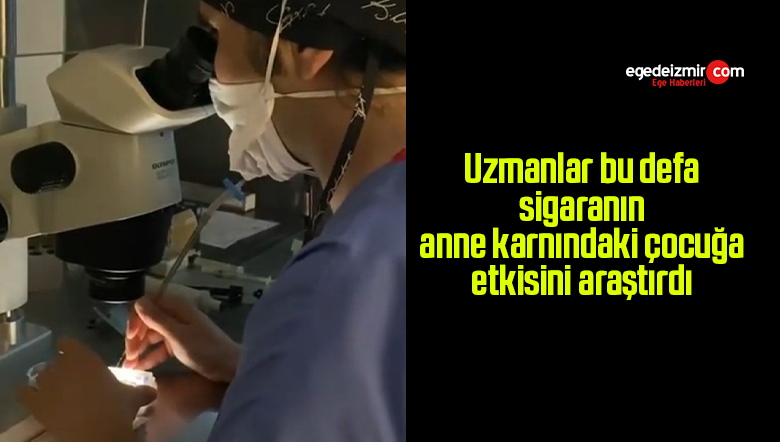 araştrdı