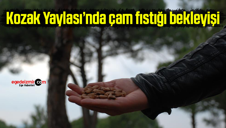 bekleyiş