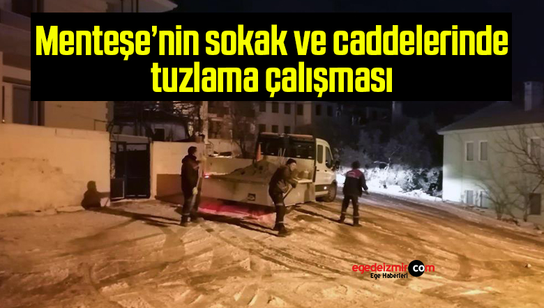 çalışması