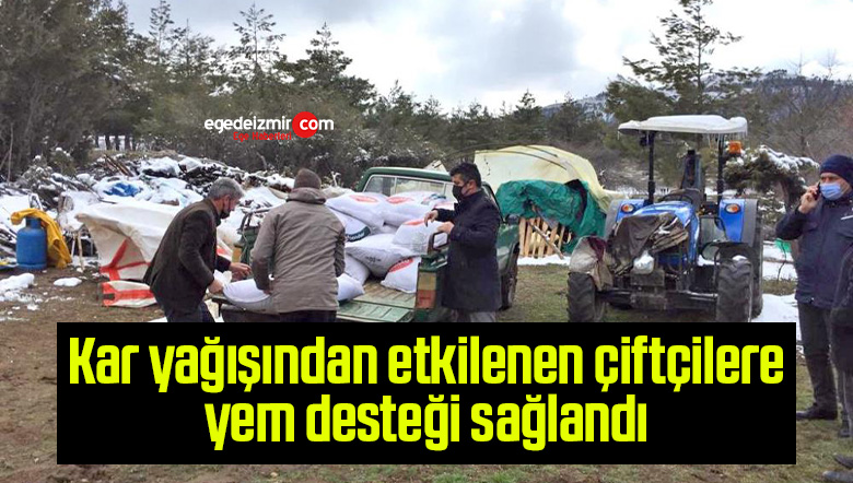destek