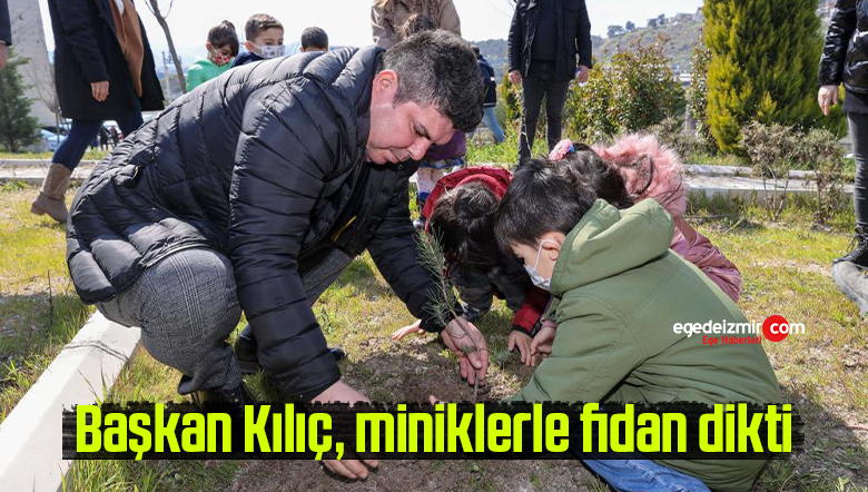 dikti