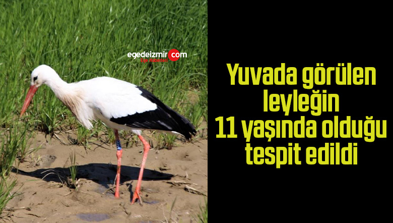 edildi