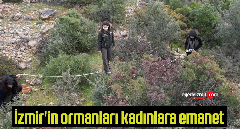 İzmir’in ormanları kadınlara emanet