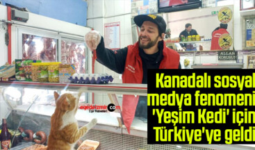 Kanadalı sosyal medya fenomeni ‘Yeşim Kedi’ için Türkiye’ye geldi