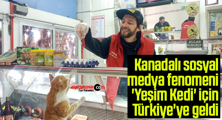 Kanadalı sosyal medya fenomeni ‘Yeşim Kedi’ için Türkiye’ye geldi