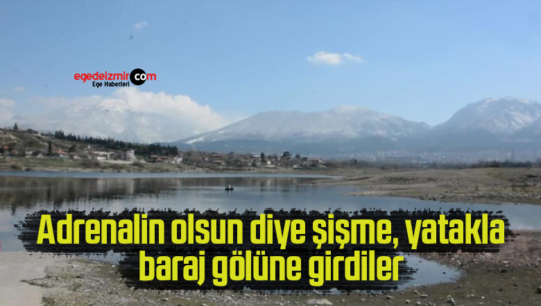girdiler