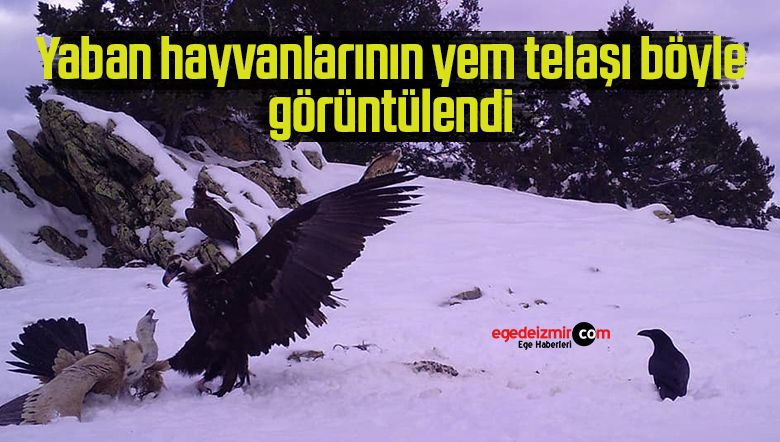 görüntülendi