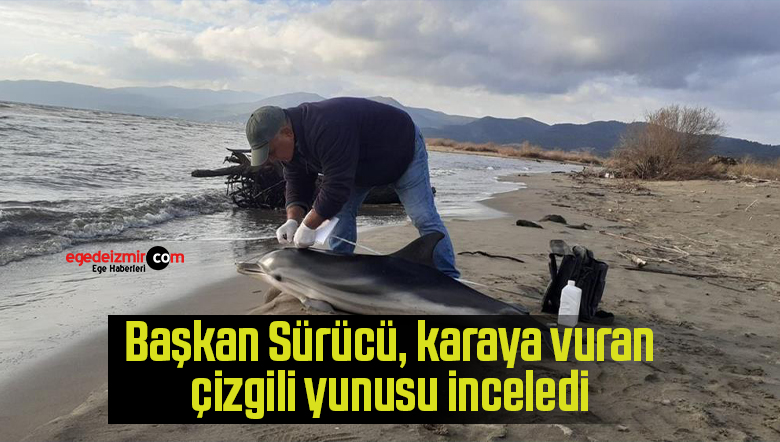 inceledi