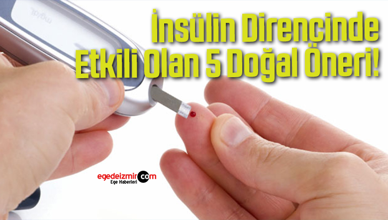 insülin