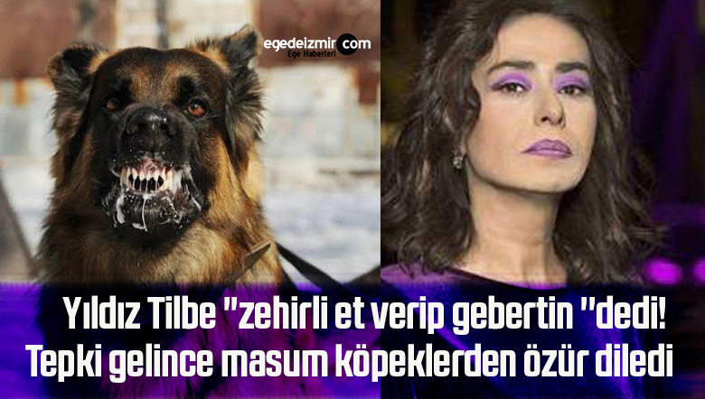 köpek