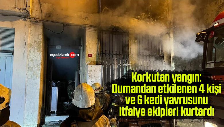 kurtardı