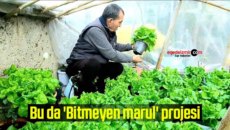 marul