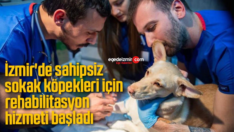 rehabilitasyon