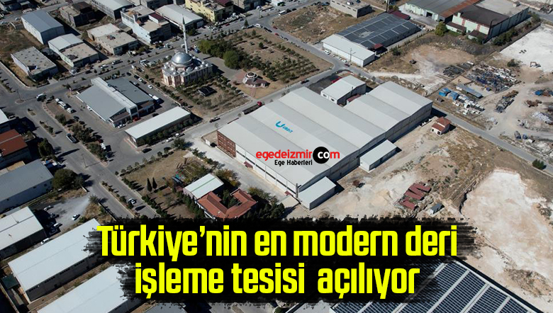 tesis