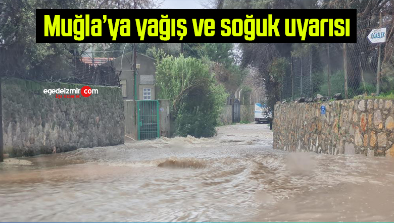 uyarı