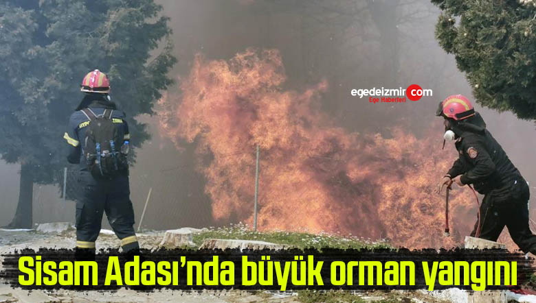 yangın