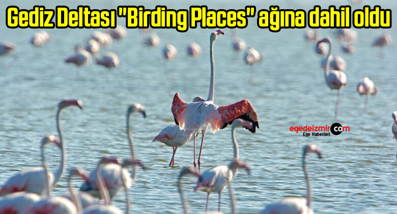 Gediz Deltası “Birding Places” ağına dahil oldu