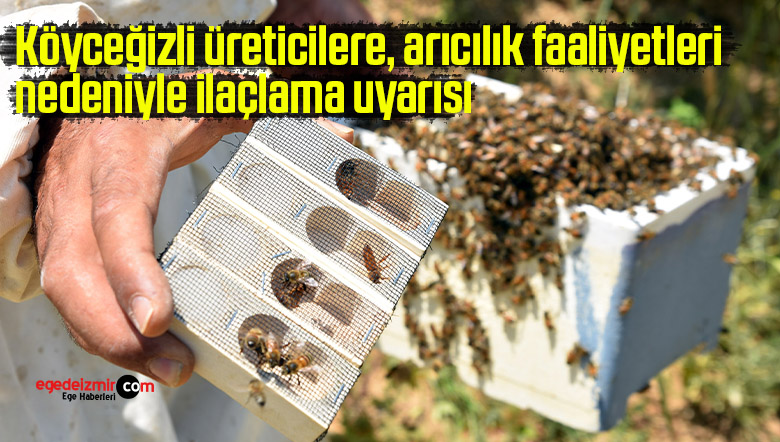 arı