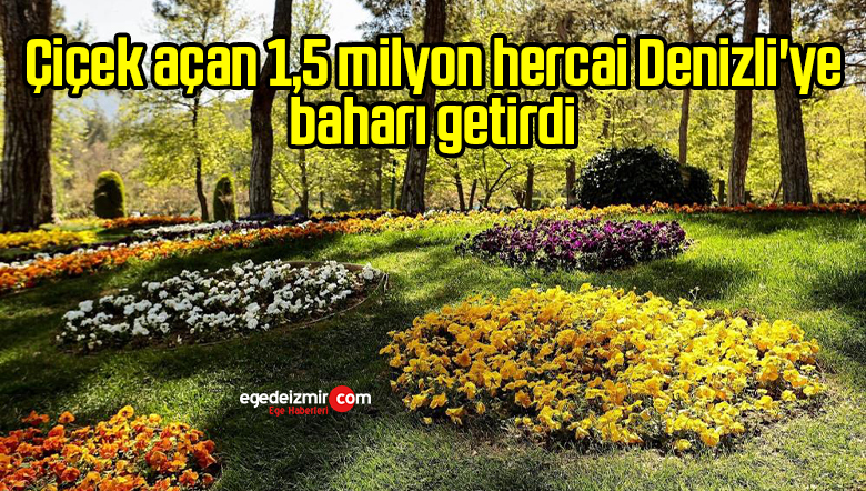 bahar