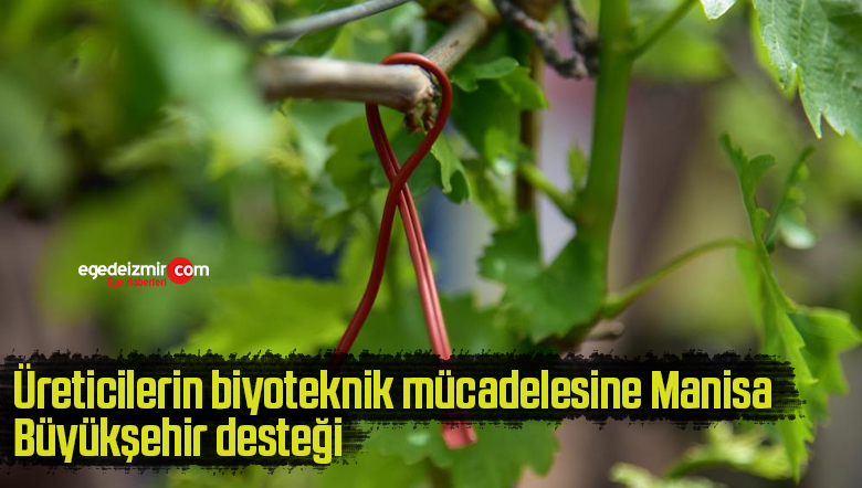 destek