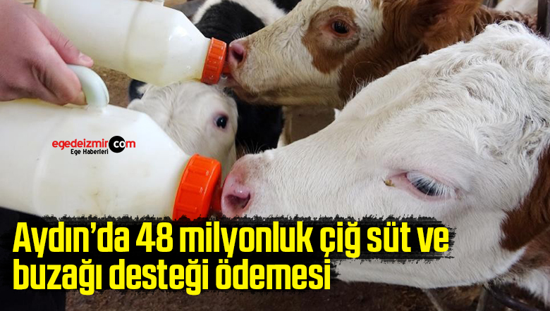 destek