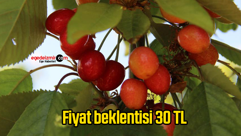 fiyat