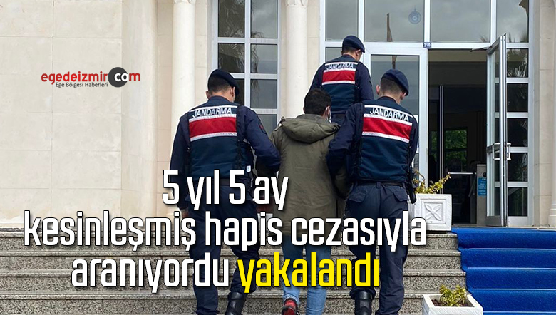 hapis