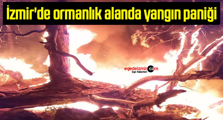 İzmir’de ormanlık alanda yangın paniği