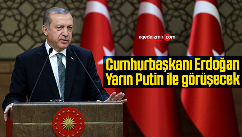 Cumhurbaşkanı Erdoğan yarın Putin ile görüşecek