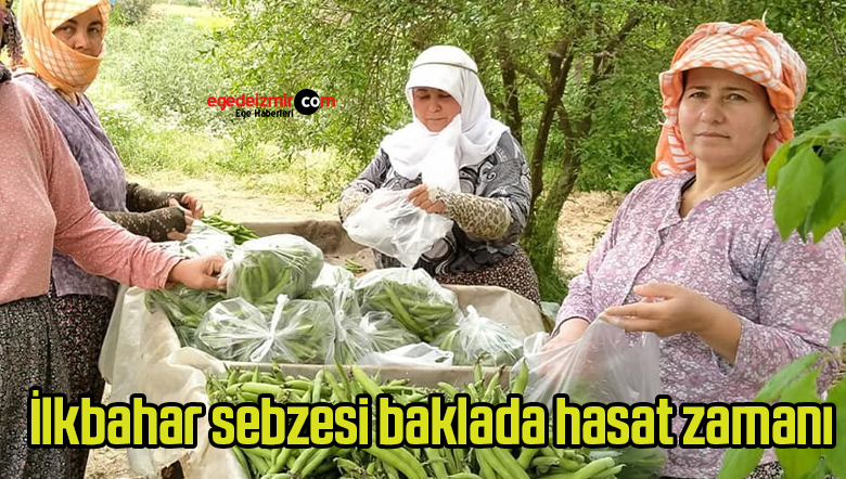 sebze