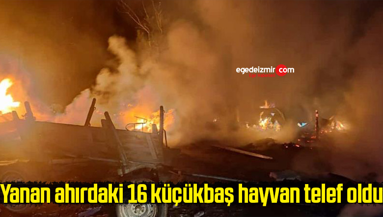 Yanan ahırdaki 16 küçükbaş hayvan telef oldu