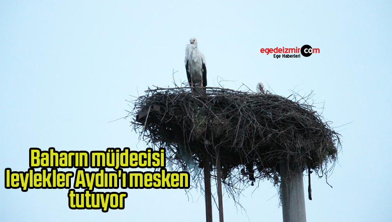 tutuyor