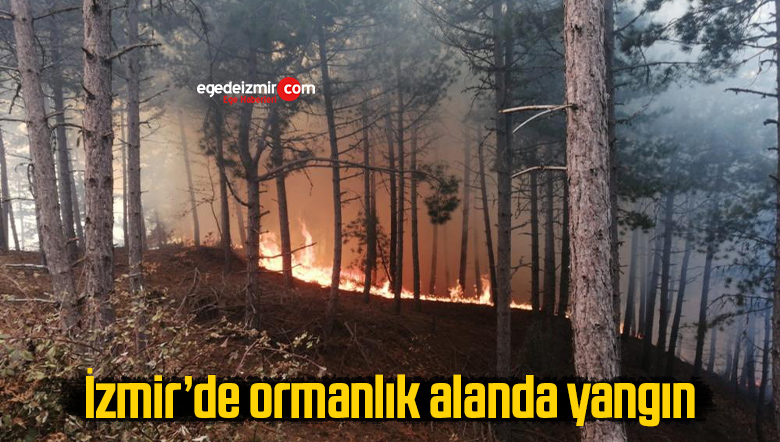 yangın