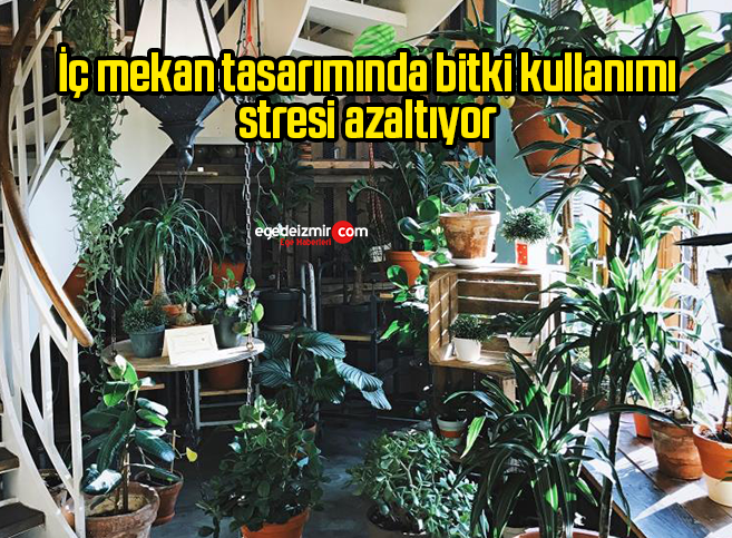 Ekran Alıntısı