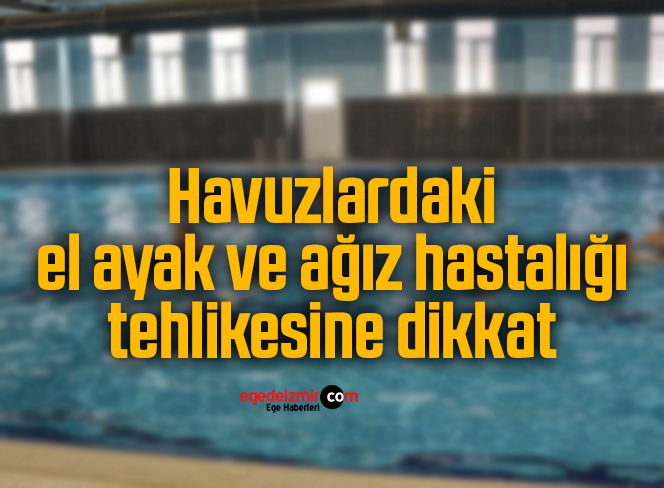 havuz