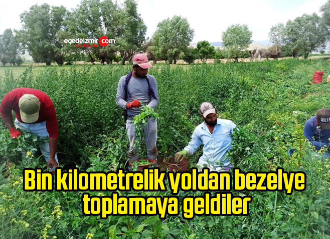Ekran Alıntısı 10