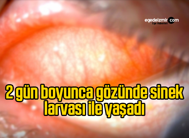 Ekran Alıntısı 3